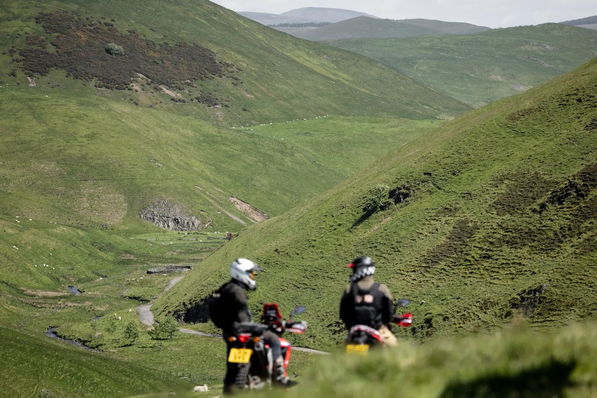 Something Weird Happened Adventure Spec